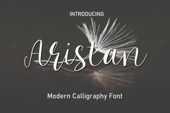 Aristan: A Romantic Script Font for Web Design