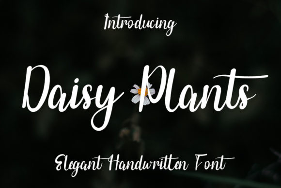 Daisy Plants: A Stylish Handwritten Font