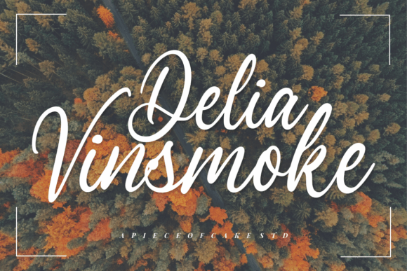 Delia Vinsmoke: A Magical Font for Business