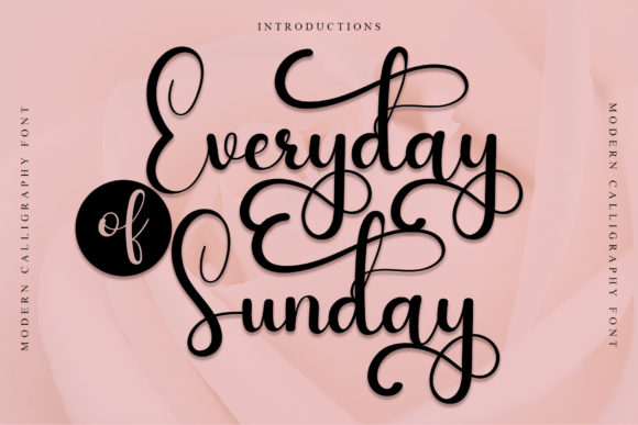 Everyday of Sunday Font for Web Design
