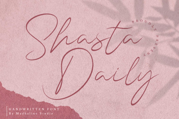Shasta Daily Font Review