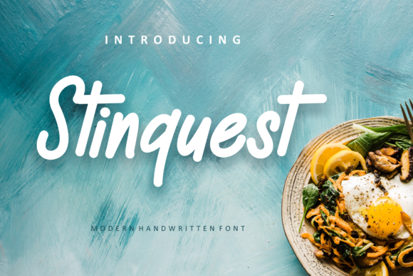 Stinquest Font for Web Design